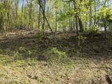 TR-4 Boatmans Mountain-25.54Ac - Photo 22