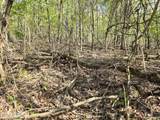TR-4 Boatmans Mountain-25.54Ac - Photo 25