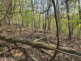 TR-4 Boatmans Mountain-25.54Ac - Photo 26