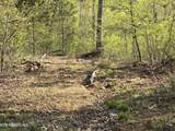 TR-4 Boatmans Mountain-25.54Ac - Photo 27