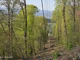 TR-4 Boatmans Mountain-25.54Ac - Photo 3