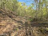 TR-4 Boatmans Mountain-25.54Ac - Photo 30