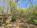 TR-4 Boatmans Mountain-25.54Ac - Photo 31