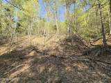 TR-4 Boatmans Mountain-25.54Ac - Photo 34