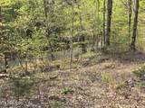 TR-4 Boatmans Mountain-25.54Ac - Photo 39