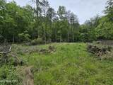 29+ACRES Boatmans Mountain - Photo 45