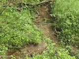 29+ACRES Boatmans Mountain - Photo 48