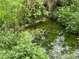 29+ACRES Boatmans Mountain - Photo 49