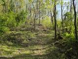 TR-4 Boatmans Mountain-25.54Ac - Photo 9
