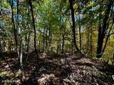 Lot 46 Honey Springs Rd - Photo 6