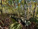 Lot 46 Honey Springs Rd - Photo 9