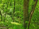 Lot 8 John Sevier Drive - Photo 2