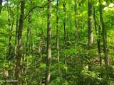Lot 8 John Sevier Drive - Photo 4