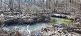 11.49 ac Off Stanley Hood Rd - Photo 14