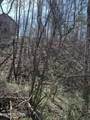 3210 Pine Way - Photo 3