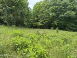 8111 White Oak Flatt Rd - Photo 26