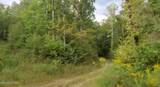 1B Junaluska Drive - Photo 1