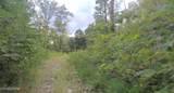 1B Junaluska Drive - Photo 3