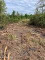  Scott Highway - Photo 8