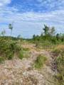  Scott Highway - Photo 9