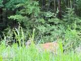 Lot 17 Waterstone Drive - Photo 16