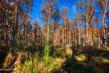 54 Ridge Rd - Photo 29