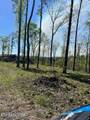 Tract 1 Mill Creek Rd - Photo 1