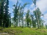 Tract 1 Mill Creek Rd - Photo 15