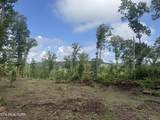  Tract 2 Mill Creek Rd - Photo 12