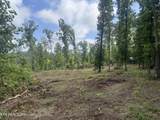  Tract 2 Mill Creek Rd - Photo 15