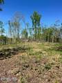  Tract 2 Mill Creek Rd - Photo 3