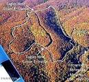 Lot 7 Lower Eagles Nest Rd - Photo 11