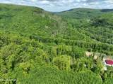 Lot 7 Lower Eagles Nest Rd - Photo 13