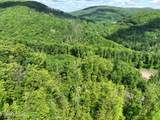Lot 7 Lower Eagles Nest Rd - Photo 2