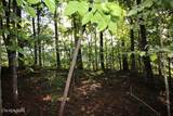 523 Rudd Hollow Rd - Photo 1
