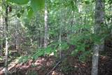 523 Rudd Hollow Rd - Photo 5