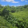  Petit Lane - Photo 3