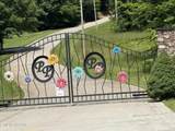  Pinnacle Pointe Way - Photo 1