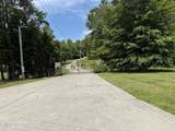  Pinnacle Pointe Way - Photo 3