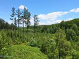 Lot 12 Winding Tr - Photo 10