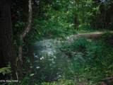  Old Hwy. 63 Rd - Photo 3