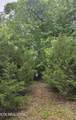 Lot 491 Citron Ln - Photo 1