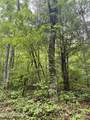 836 Steer Creek Rd - Photo 1