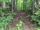  Gray Rd - Photo 1