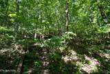  Love Colony Rd - Photo 11