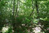  Love Colony Rd - Photo 14