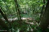  Love Colony Rd - Photo 2