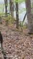 Lot 20 Sawmill Cove - Photo 2