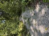 12.55ac Winningham Rd - Photo 12