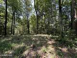 12.55ac Winningham Rd - Photo 2